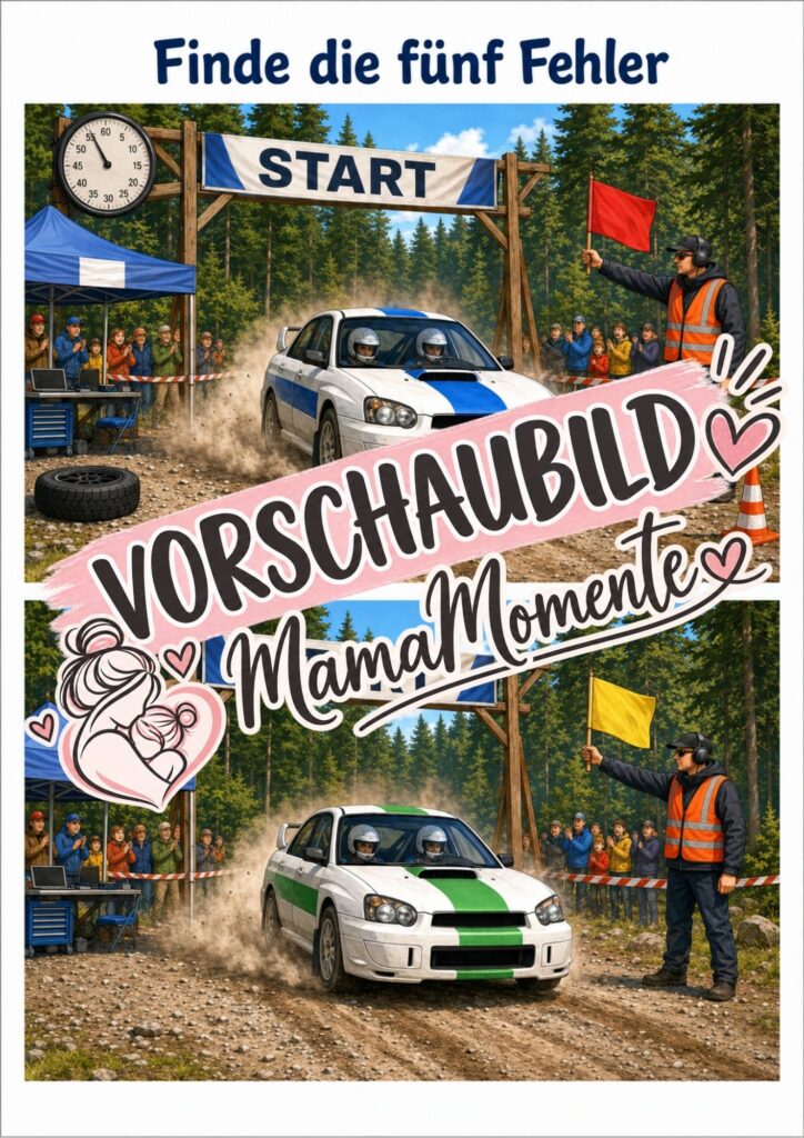5 Fehler suchen Rallye